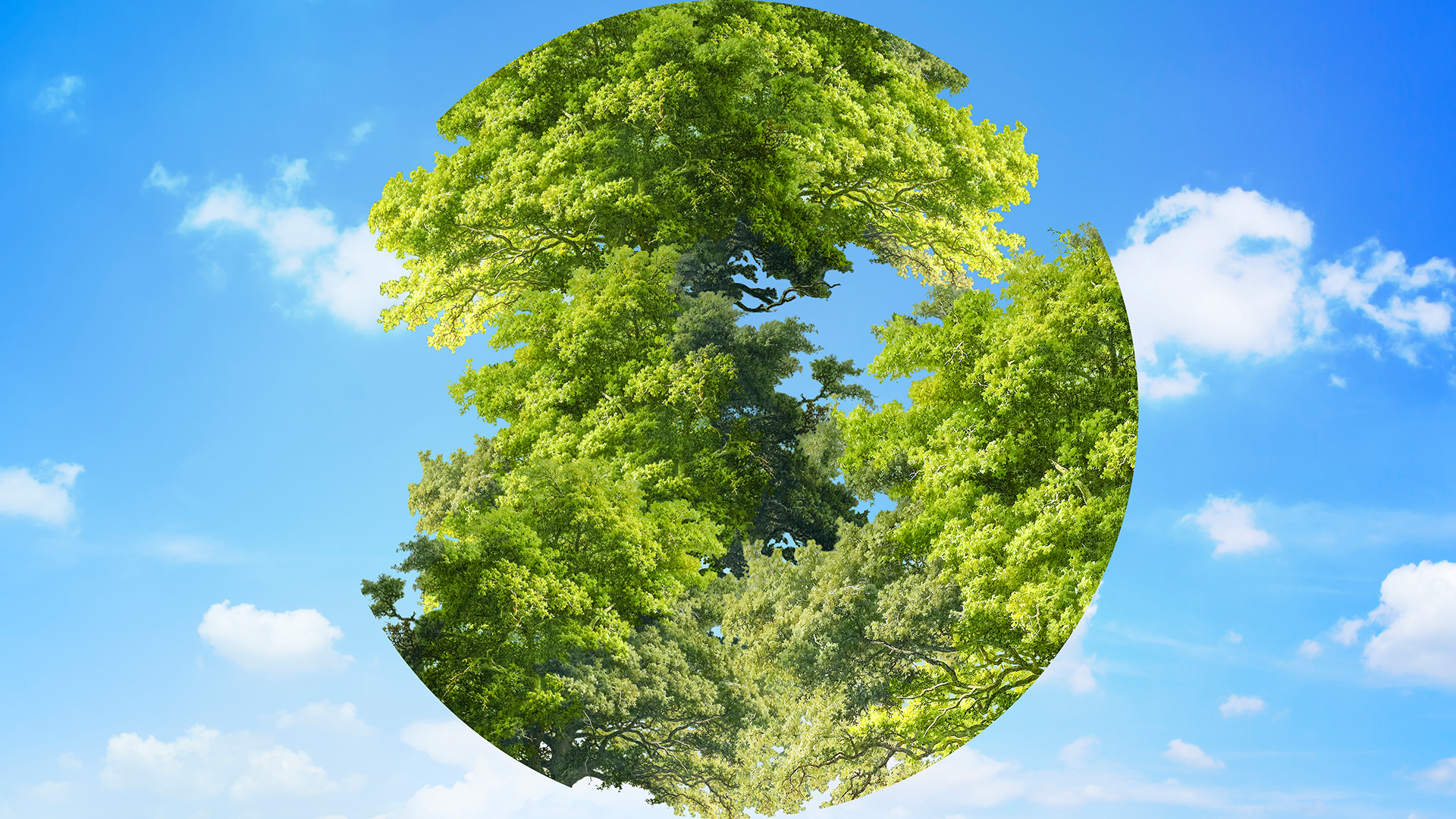 Idroclima di Quinzanini General Contractor