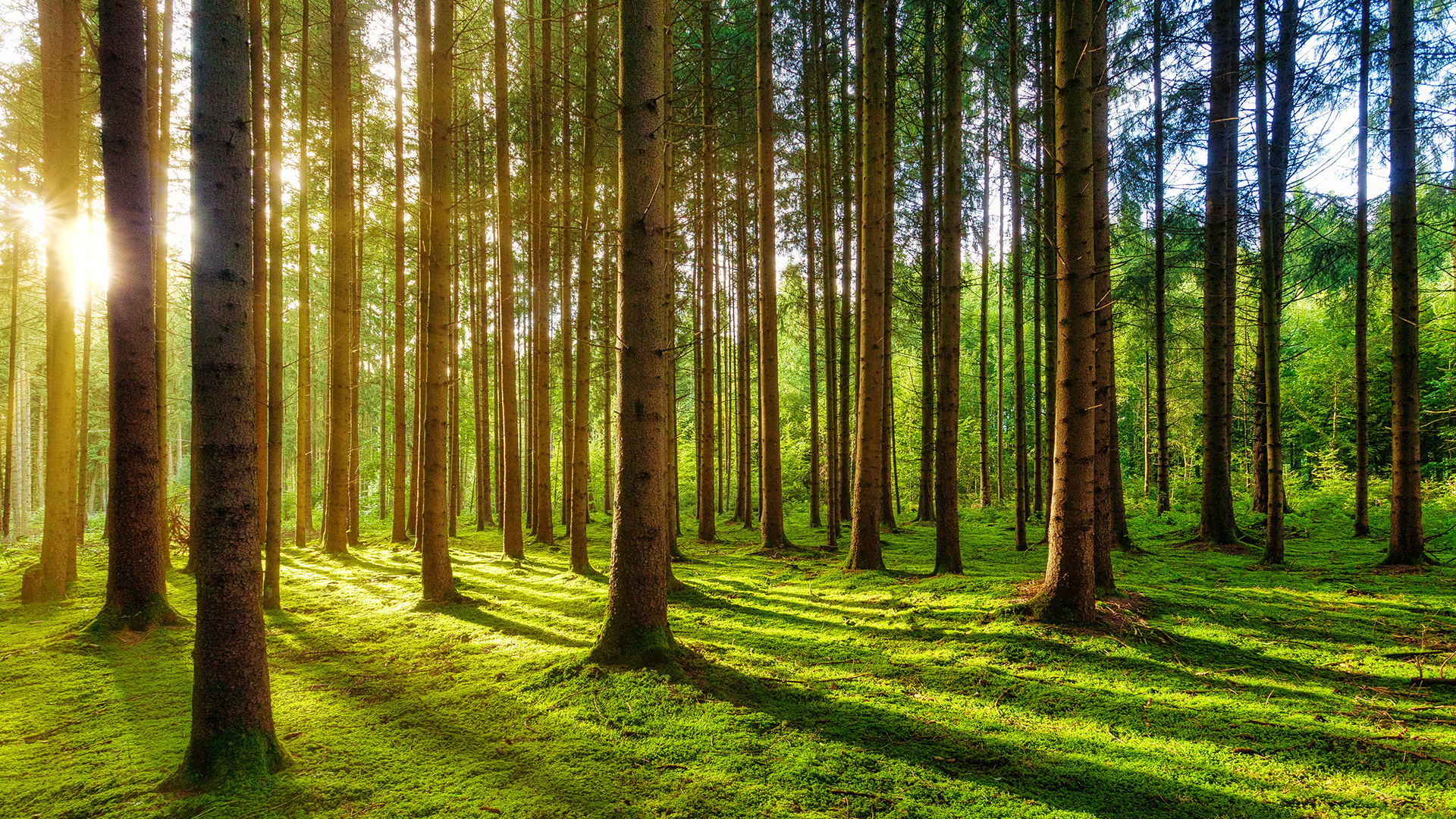 Idroclima di Quinzanini General Contractor